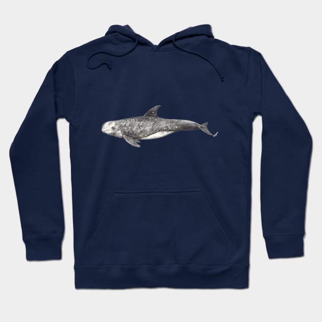 Risso´s dolphin Grampus griseus Hoodie by chloeyzoard